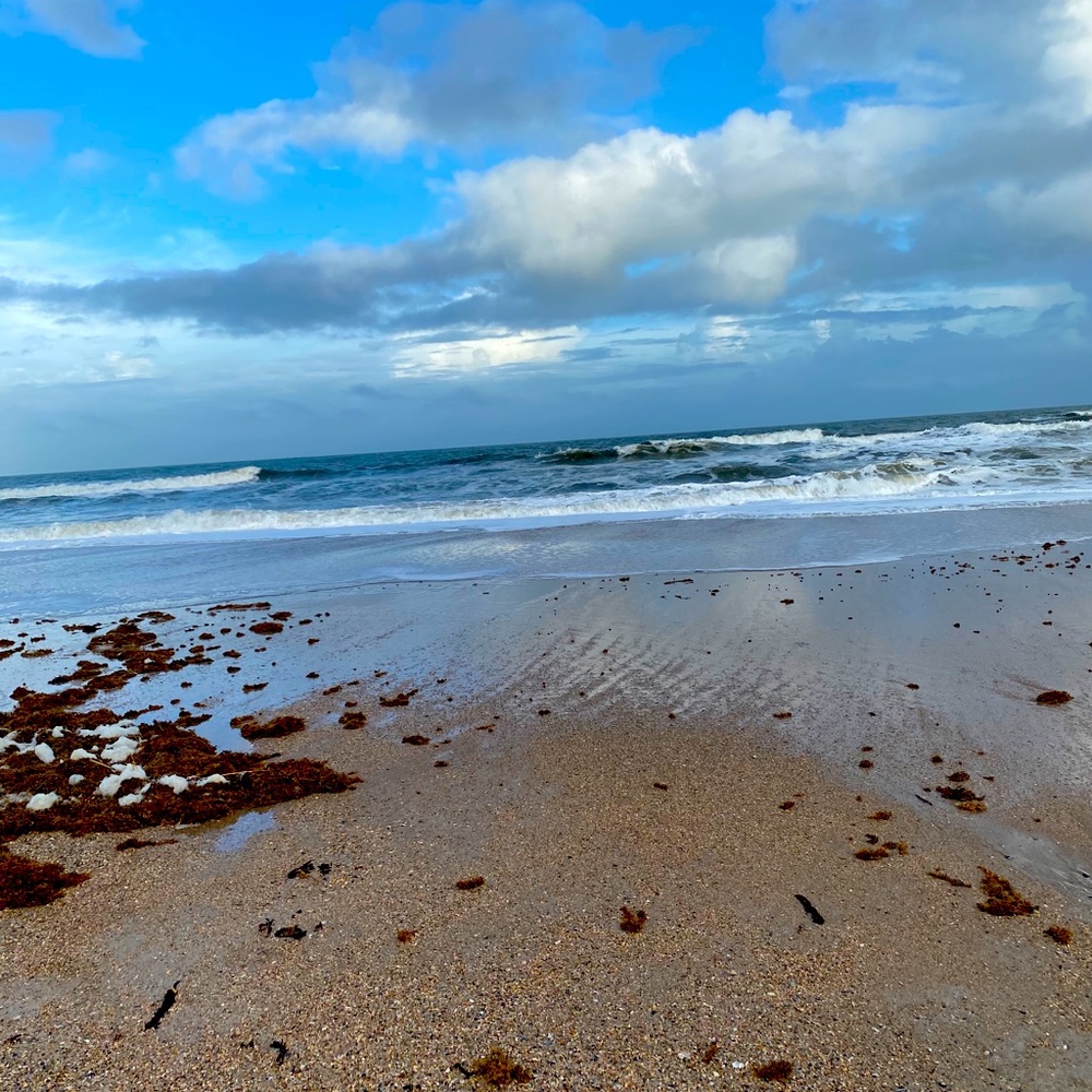 Meet your Posher, Candice